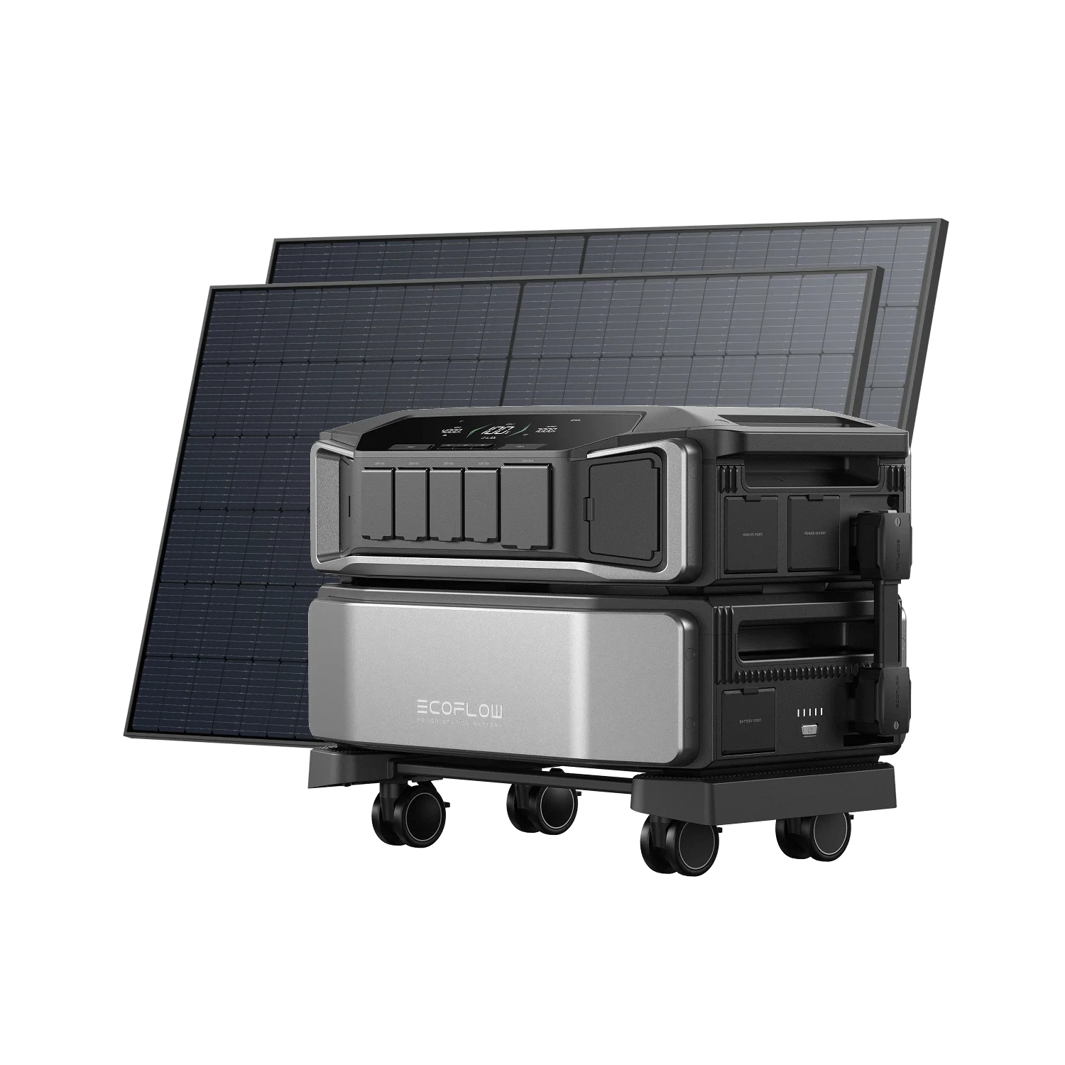 Miniatura 17